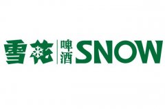 Snow Beer uses 300/400g/h ozone generator for sterilization