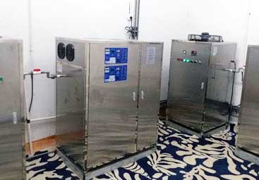 40g-100g ozone & oxygen machine